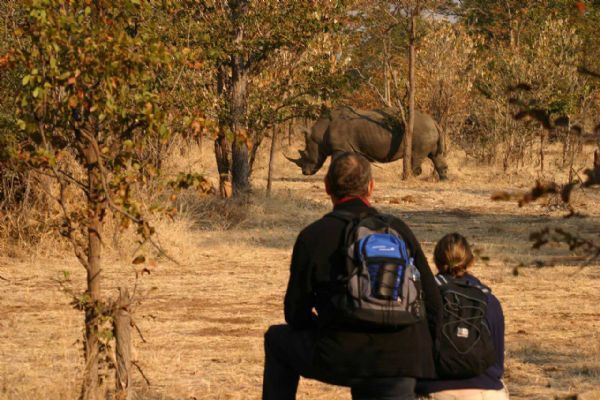 Rhino Walk in Mosi-Oa-Tunya National Park