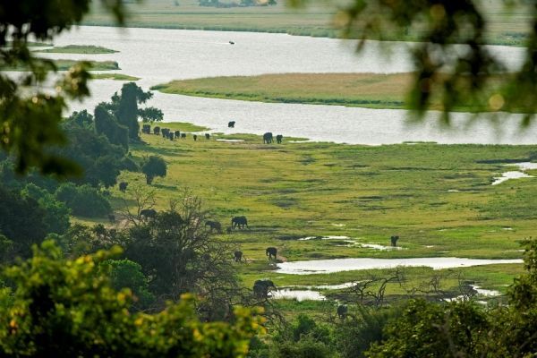 Greater Chobe National Park