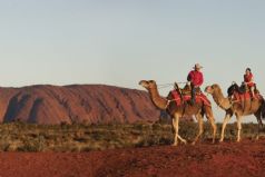 Australia, All In