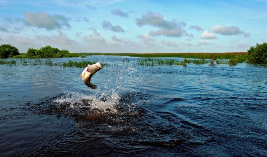 Top End Fishing Expedition