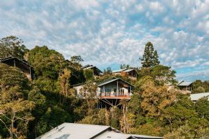 O'Reilly's Rainforest Retreat and Mountain Villas