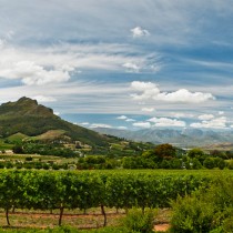 Delaire Graff Estate | Photo Credit: Delaire Graff Lodge & Spa