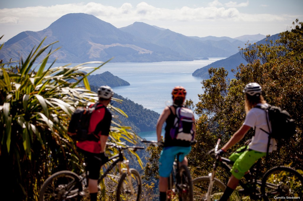 Mountain biking in the Queen Charlotte Track | Photo Credit: Tourism New Zealand