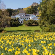 Photo: Otahuna Lodge overlooking the daffodil garden | Image Credit: Otahuna Lodge