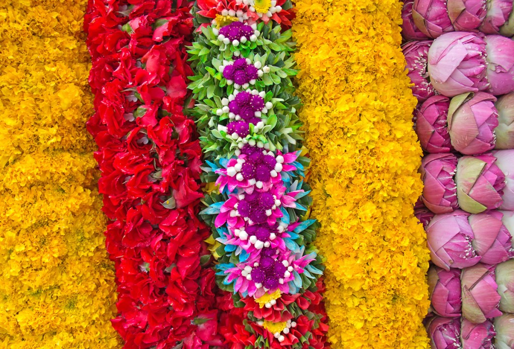 Flowers in India | Photo Credit: Shutterstock