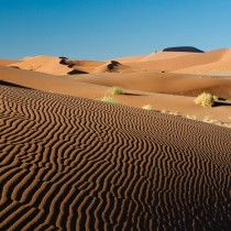 Kulala Desert Lodge Sand Dunes | Photo Credit: Wilderness Safaris