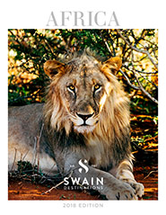India travel brochure pdf download