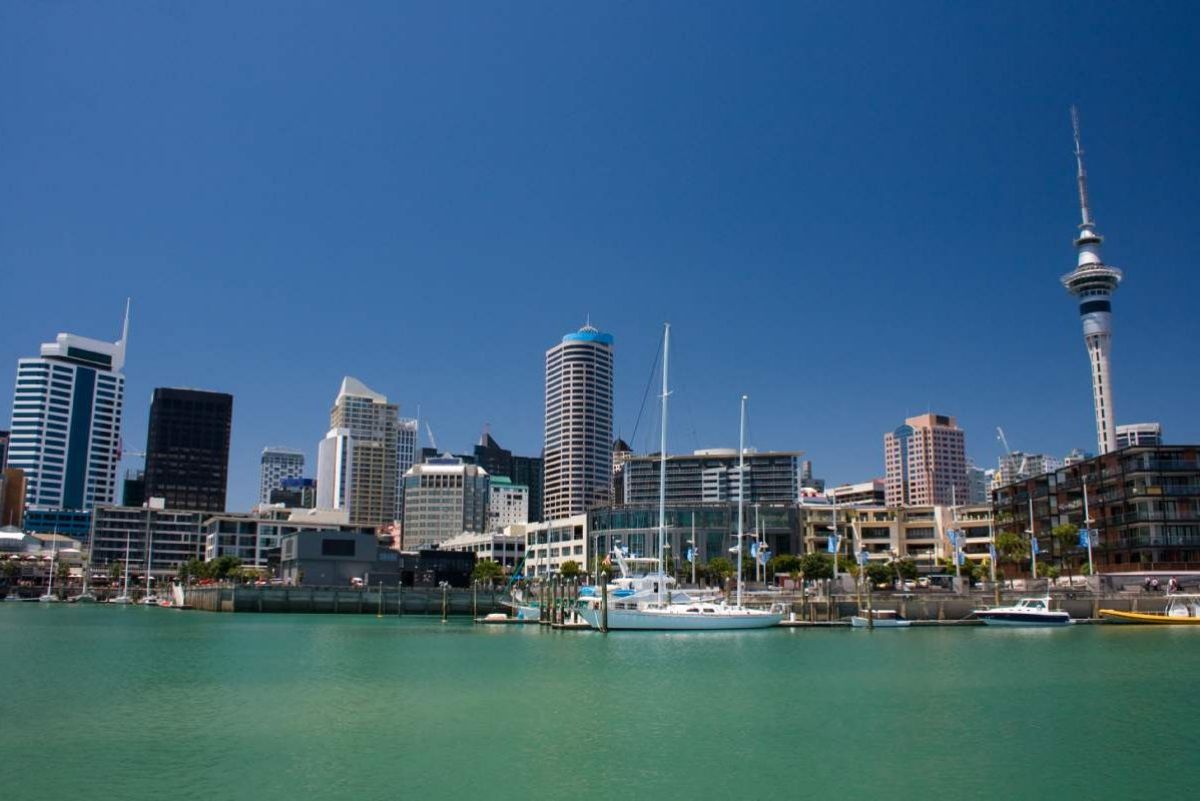 Auckland Highlights and Cruise