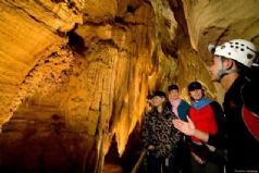 Waitomo Caves Tour