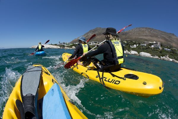 Adventure Touring in Cape Town