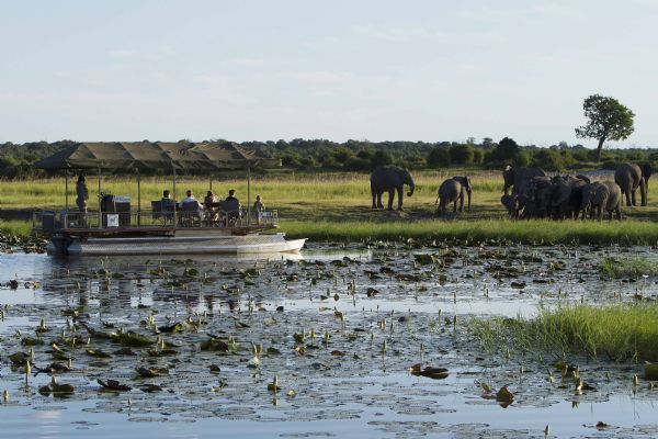 Chobe National Park Boat Safari