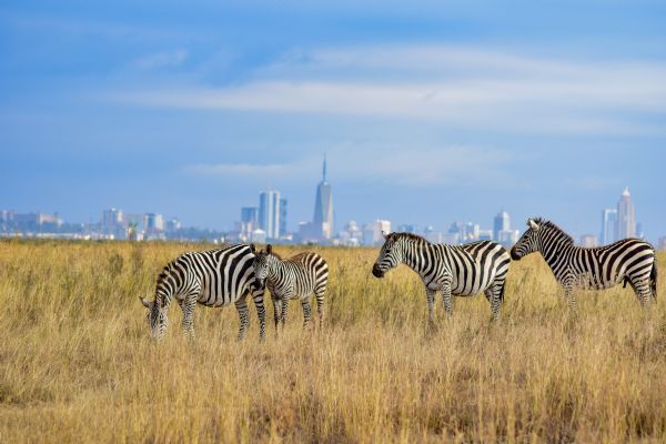 Nairobi National Park