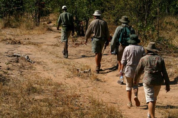 Walking Safari in Mosi-Oa-Tuyna National Park