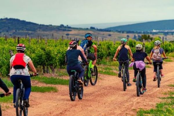 Winelands and Cape Point Cycling Tour