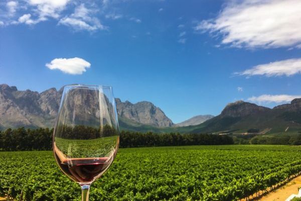 Cape Winelands Tour