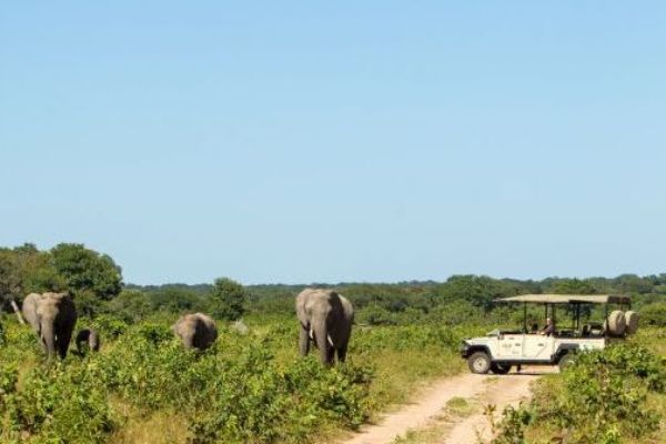 Chobe National Park Game Drive