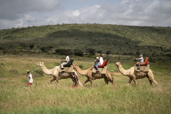 Laikipia Activities