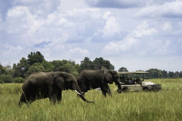 Linyanti Reserve Activities