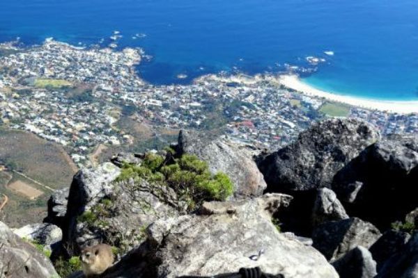 Table Mountain Hike