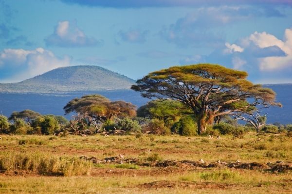 Amboseli National Park