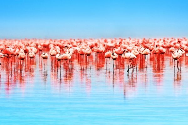 Lake Nakuru National Park