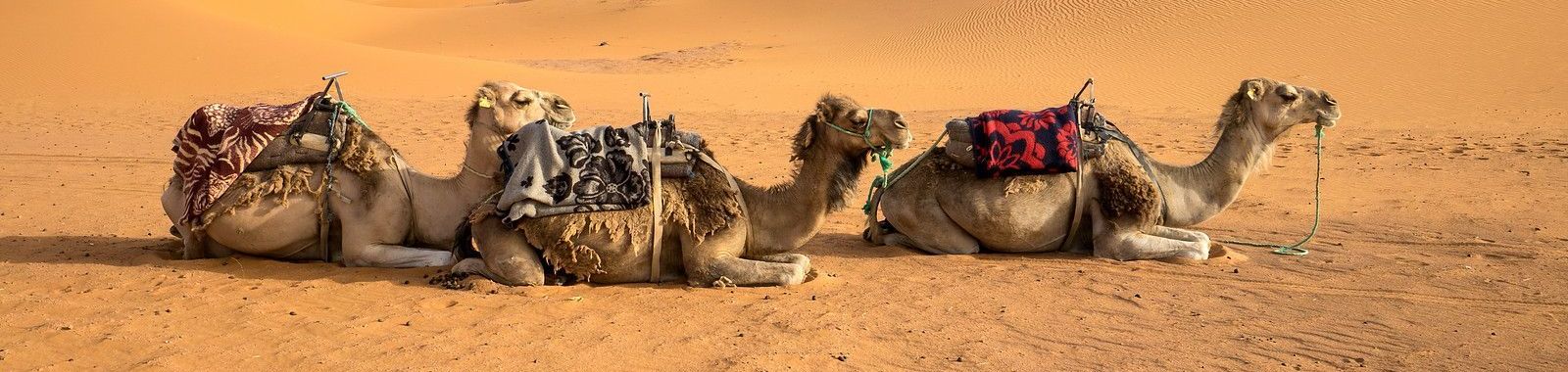 Morocco