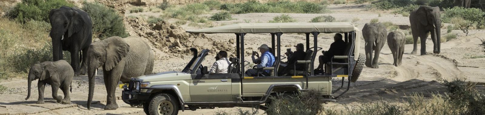 Best of Namibia Wing Safari