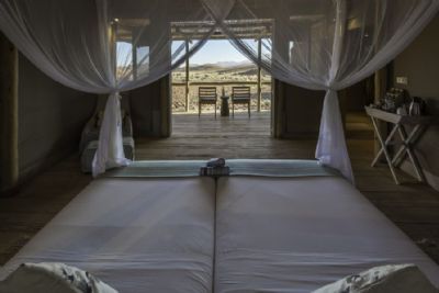 Best of Namibia Wing Safari