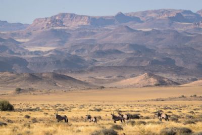 Highlights of Namibia