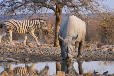 Highlights of Namibia