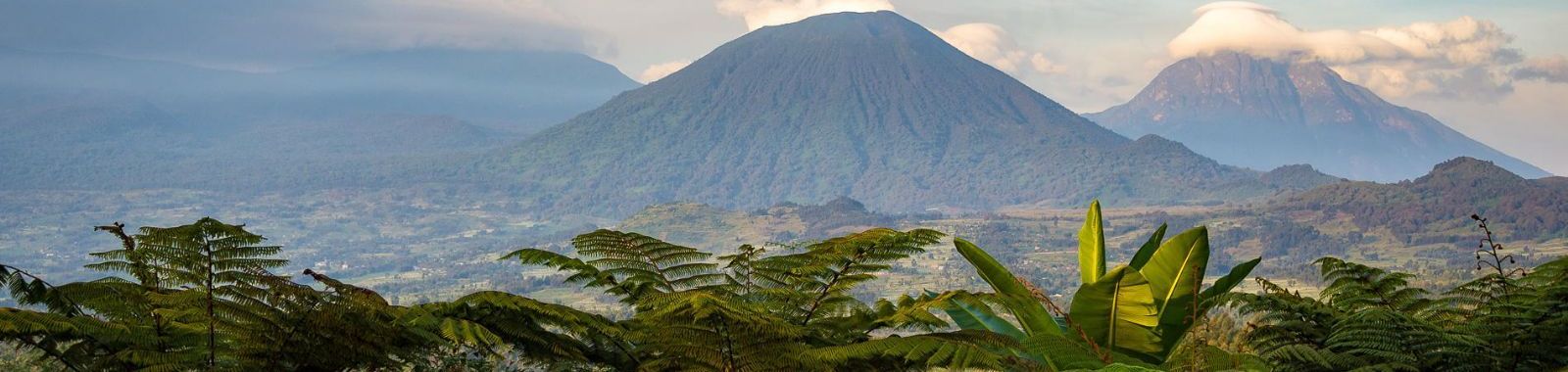 Gorilla Trekking in Rwanda