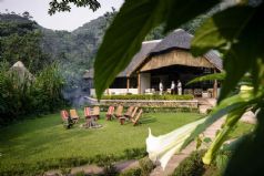 Gorilla Trekking in Uganda