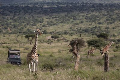 Kenya SkySafari