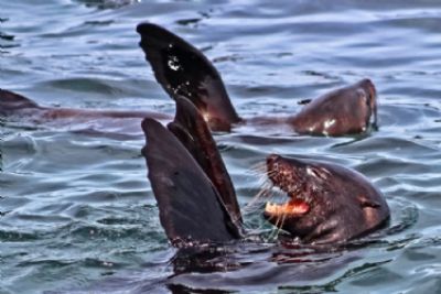 Making Memories in South Africa