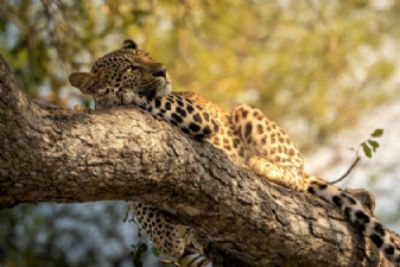 Making Memories in South Africa