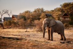 Belmond Safari