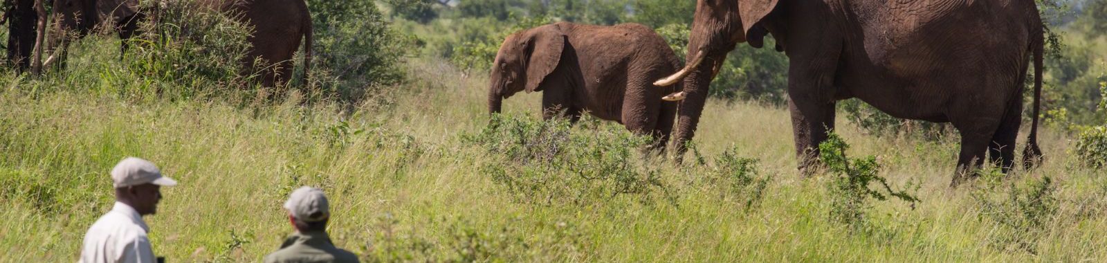 Tanzania SkySafari