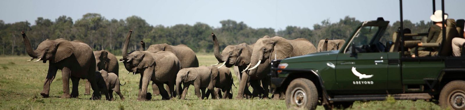 &Beyond Kichwa Tembo Tented Camp