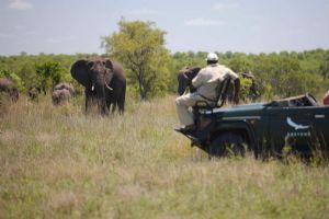 &Beyond Ngala Safari Lodge