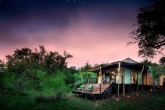 &Beyond Ngala Tented Camp