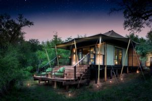 &Beyond Ngala Tented Camp