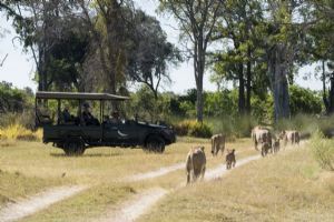 &Beyond Nxabega Okavango Tented Camp