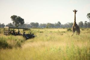 &Beyond Nxabega Okavango Tented Camp