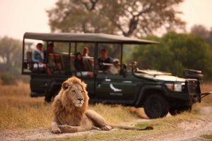 &Beyond Sandibe Okavango Safari Lodge