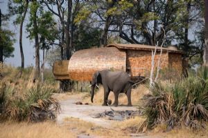 &Beyond Sandibe Okavango Safari Lodge