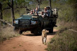 &Beyond Tengile River Lodge