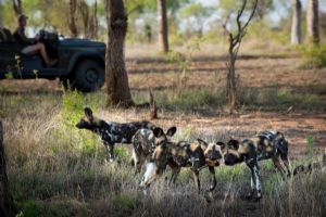 &Beyond Tengile River Lodge