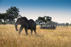 &Beyond Xaranna Okavango Delta Camp