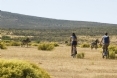 Bushmans Kloof Wilderness Reserve