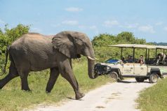 Chobe Game Lodge